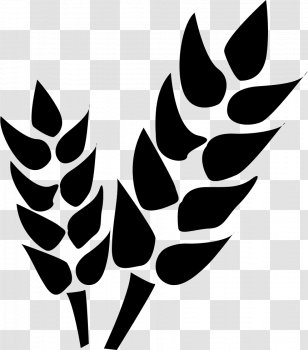 Project Architectural Engineering Agriculture - Management - Business Transparent PNG