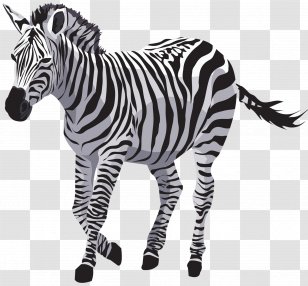 Horse Zebra Vector Graphics Drawing Zorse - Big Cats - Vida Silvestre Transparent PNG