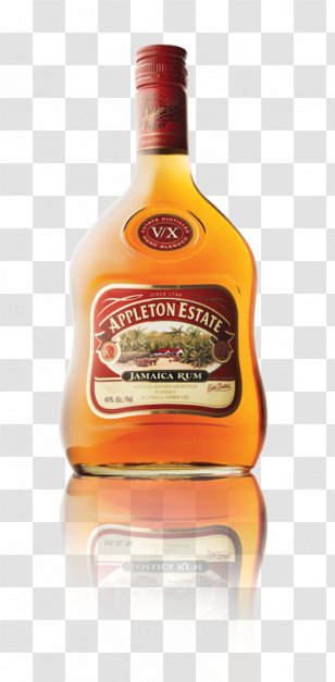 Liqueur Light Rum Tequila Liquor - Mai Tai Transparent PNG