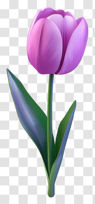 Purple Tulip - Elegant Purple Tulip Flower Illustration Transparent PNG