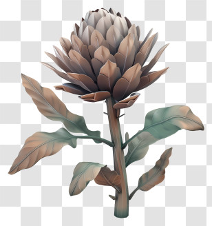 Jerusalem Artichoke - Artichoke Plant Illustration Transparent PNG
