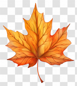 Fall Leaf Clipart - Beautiful Autumn Maple Leaf Transparent PNG