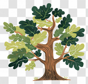 Oak Tree - Detailed Artistic Tree With Leaves Transparent PNG