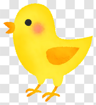 Icon - Cute Yellow Chick Illustration Transparent PNG