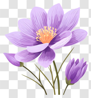 Purple Flower - Beautiful Purple Flower Drawing Transparent PNG