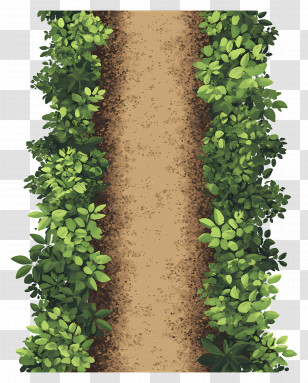 Tree Plan - Garden Pathway Surrounded By Green Bushes Transparent PNG