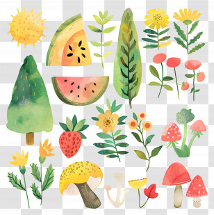 Summer - Bright Watercolor Illustration Of Summer Fruits And Flowers Transparent PNG