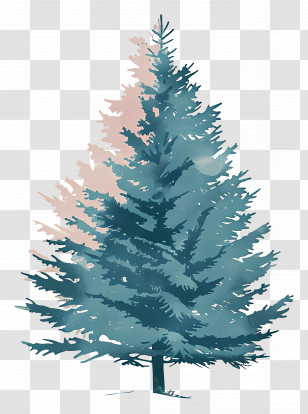 Fir Tree - Pine Tree Illustration In Natural Colors Transparent PNG