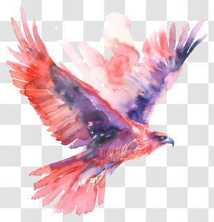 Watercolor Eagle - Soaring Watercolor Bird With Vibrant Wings Transparent PNG