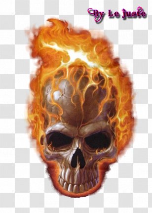 Skull And Crossbones Death Calavera - Sticker - Mort Todd Transparent PNG