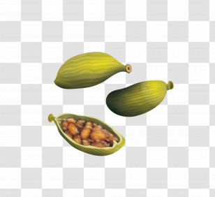 True Cardamom Spice - Commodity - Vector Material Transparent PNG