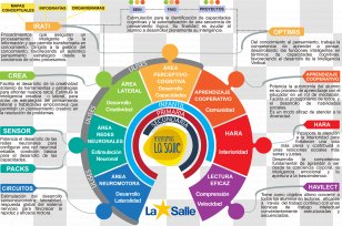 Education Organization Learning Computer Program School - Teacher Transparent PNG
