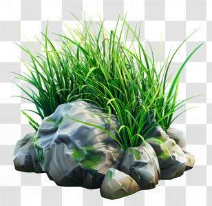 Grass Plant - Rock With Green Grass Decoration Transparent PNG