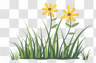 Grass Flower - Yellow Flowers And Green Grass In Nature Illustration Transparent PNG