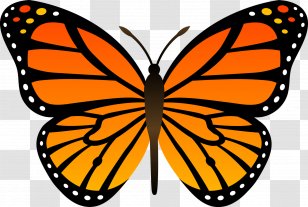 Monarch Butterfly Drawing Insect Clip Art - Brush Footed - Sale Sticker Transparent PNG