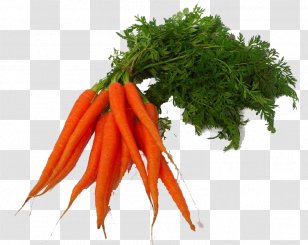Vegetarian Cuisine Carrot Juice Vegetable - Confidence Interval Formula Tree Transparent PNG