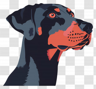 Dog Head - Stylized Black And Orange Dog Illustration Transparent PNG