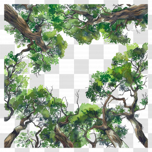 Forest Canopy - Tree Canopy With Green Leaves Transparent PNG