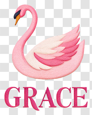 Grace Swan - Graceful Pink Swan Illustration Transparent PNG