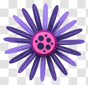 Purple Sea Urchin - Purple Radial Flower Illustration Transparent PNG