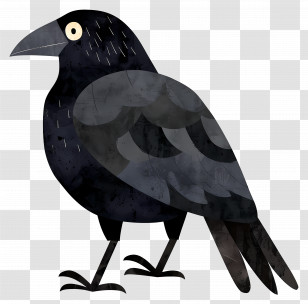 Cartoon Raven - Black Crow Illustration Transparent PNG