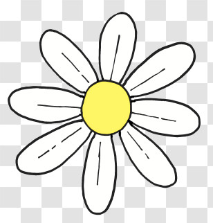 Flowers - Simple Hand-drawn Daisy Flower Drawing Transparent PNG