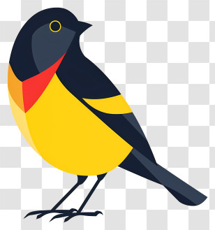 Cartoon Bird - Illustration Of A Black And Yellow Bird Transparent PNG
