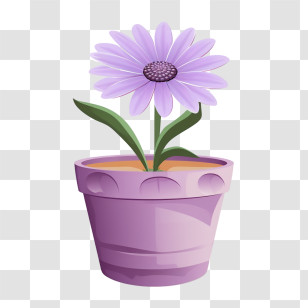 African Daisy Flower - Purple Flower In A Flower Pot Transparent PNG
