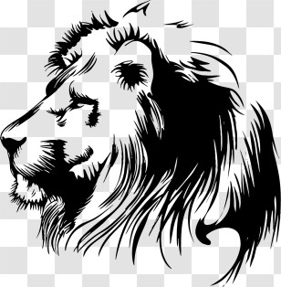 Bear Logo - Lion Head Sketch In Black And White Transparent PNG