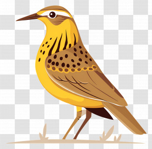 Meadowlark Bird - Yellow Bird Illustration With Patterns Transparent PNG