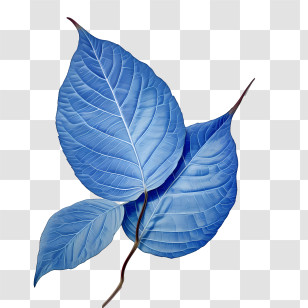 Blue Leaves - Blue Leaves Digital Illustration Transparent PNG