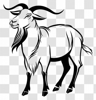 Goat - Creative Goat Line Art Transparent PNG
