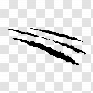 Scratch - Claw Scratch Marks Illustration Transparent PNG