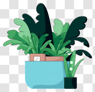 Pot Of Plants - Houseplants In Stylish Pots Transparent PNG