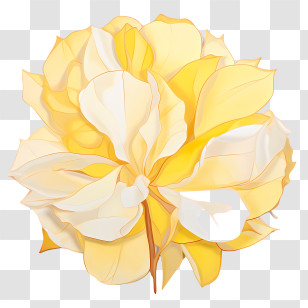 Yellow Rose Petals - Delicate Yellow Flower With Detailed Petals Transparent PNG