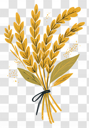 Sheaf Of Grain - Golden Wheat Illustration For Harvest Season Transparent PNG