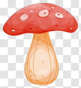 Red Mushroom - Red Mushroom Illustration In Cartoon Style Transparent PNG