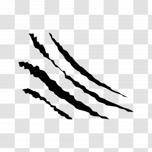Scratch - Black Scratch Marks Transparent PNG