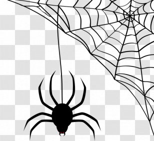 Spider-Man Animation Spider Web - Lighting Transparent PNG