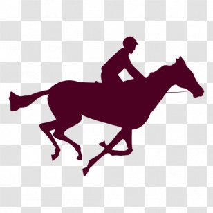 Horse The Human Figure In Motion Gallop Photography - Joint Transparent PNG