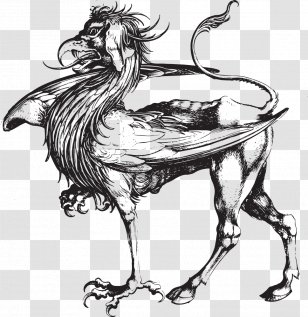 Griffin Dragon Drawing Legendary Creature - Monster Transparent PNG