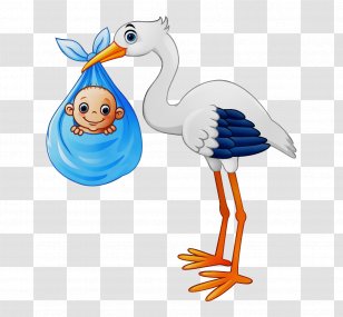 Royalty-free Vector Graphics Stock Photography Illustration Stork - Flightless Bird Transparent PNG