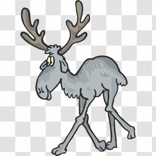 Reindeer - Wildlife - Deer Transparent PNG