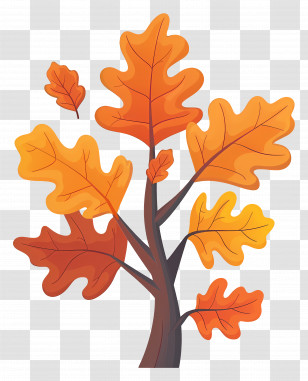 Autumn Leaves - Autumn Tree With Orange Leaves Illustration Transparent PNG