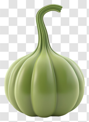 Gourd - Green Gourd Vegetable Botanical Illustration Transparent PNG