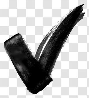 Black Check Mark - Black Check Mark Symbol Transparent PNG