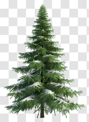 Fir Tree - Snow-Covered Green Fir Tree Transparent PNG