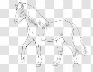Mane Foal Mustang Stallion Bridle - Horse Supplies - Western Transparent PNG