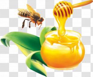 Australia Bee Comb Honey Honeycomb - Membrane Winged Insect Transparent PNG