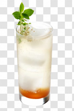 Cocktail Garnish Sea Breeze Harvey Wallbanger White Russian Mint Julep - Juice Transparent PNG